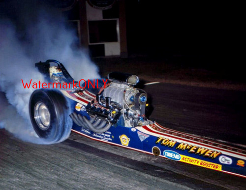 Tom mongoose mcewen - "mongoose",